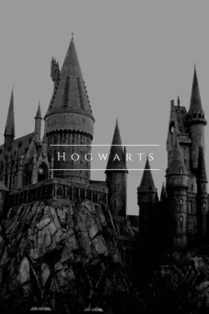 ปกนิยาย First love, Final love (Harry Potter)