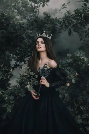 ปกนิยาย DARK CROWN