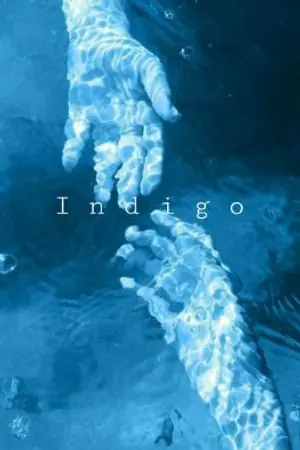 ปกนิยาย Indigo