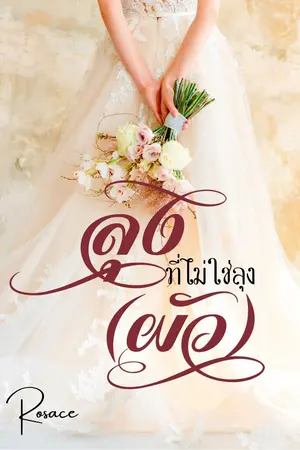 ปกนิยาย ลุงที่ไม่ใช่ลุง