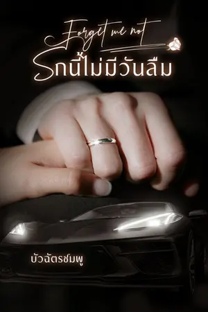 ปกนิยาย