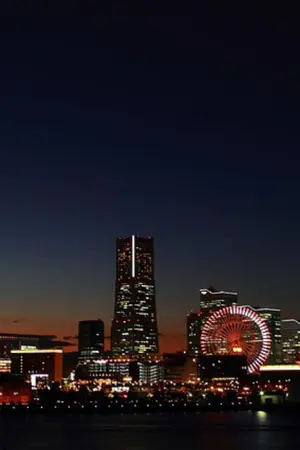 ปกนิยาย • Bungou stray dogs • Diary