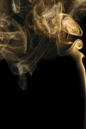 ปกนิยาย ไฟรักทาสมาเฟีย