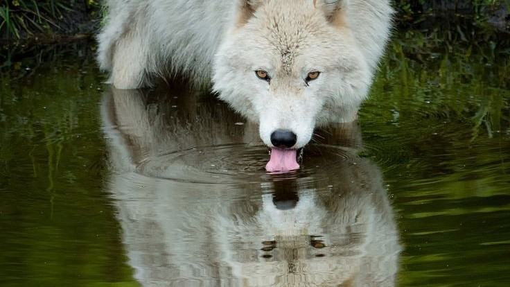 ปกนิยาย นิยายแนวแอ็คชั่น&แฟนตาซี&แฟนฟิค