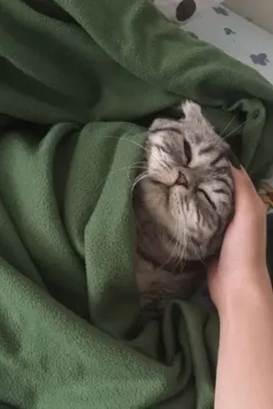 ปกนิยาย STALKER สต๊อกเกอร์ตัวน้อย (Yaoi)