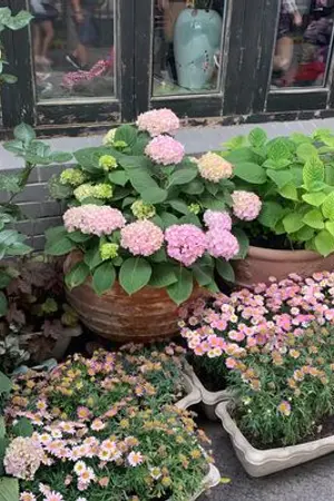 ปกนิยาย วิชญ์ภาสภูติณณ์ (Winten)