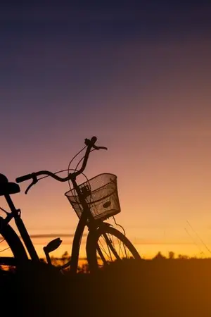 ปกนิยาย เมื่อตะวันตกดิน