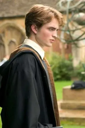 ปกนิยาย (Harry Potter) การเปลี่ยนแปลงในชะตากรรม || เซดริก​ ดิกกอรี่