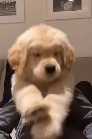 ปกนิยาย Jujutsukaisen​ / anime : ผู้กล้า ณ โลกแห่งคำสาป (OC)​