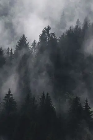 ปกนิยาย the Mysterious diary of the lord of beast บันทึกเร้นลับเเห่งราชันย์อสูร