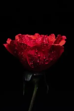 ปกนิยาย นายนักสืบกับวิญญาณสาวจอมป่วน(นิยายสั้นจบในสิบตอน)