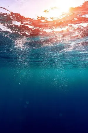 ปกนิยาย [Fic One Piece] ฉันเป็นแค่คนธรรมดาที่ผ่านทางมา