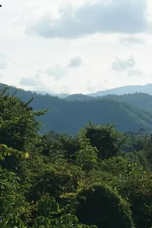 ปกนิยาย มนต์ต้องสาป