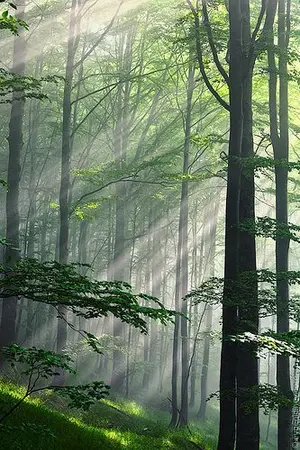 ปกนิยาย ยินดีต้อนรับสู่โลกของเหล่ามอนสเตอร์