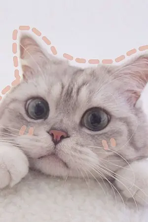 ปกนิยาย Anissa Gracie