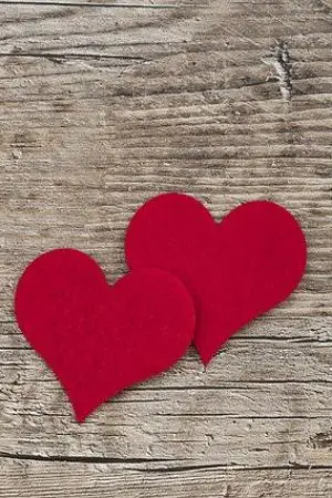 ปกนิยาย direction of love ทิศทางรัก