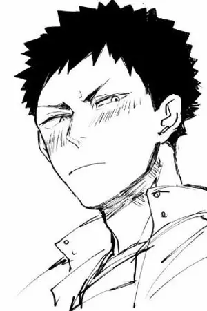 ปกนิยาย [fic haikyuu!!] โอตาคุบุกโลกไฮคิว (Iwaizumi x oc)