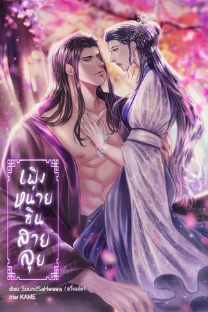 ปกนิยาย เฟิงหน่ายซินสายลุย