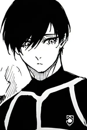 ปกนิยาย Two black cats|Rin x oc|Blue lock