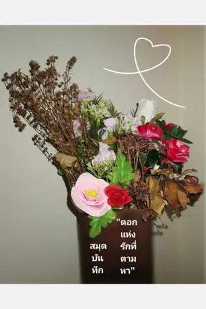 ปกนิยาย