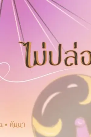 ปกนิยาย ไม่ปล่อย Gintama Okikagu