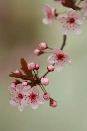 ปกนิยาย [Tower of god] khunbaam (Y)