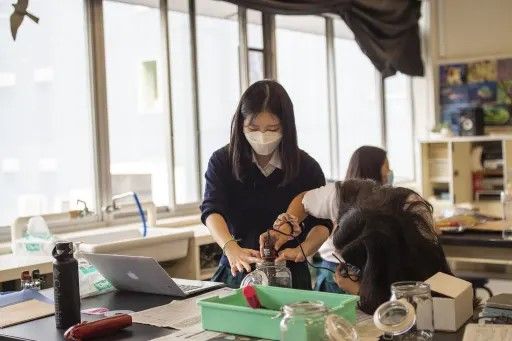 Photo Credit: https://resources.finalsite.net 