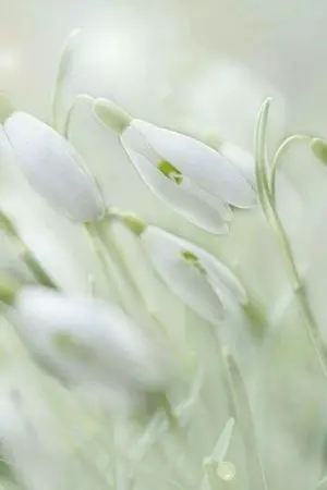 ปกนิยาย (ยังไม่มีชื่อเรื่อง)