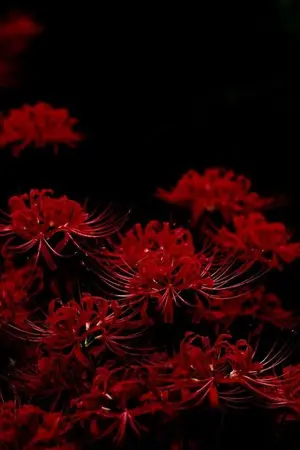 ปกนิยาย One​ Piece​ ขอป่วนหน่อยนะ