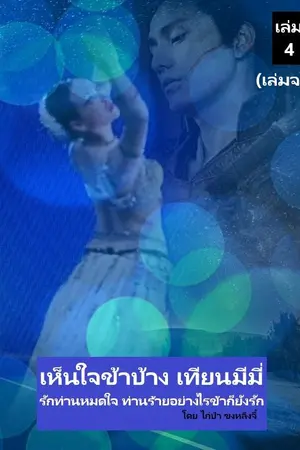 ปกนิยาย เทียนมีมี่ เห็นใจข้าบ้าง