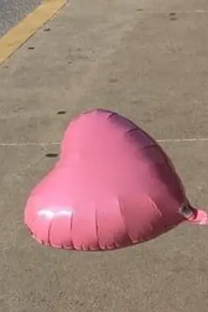 ปกนิยาย จงเลี้ยงแมวด้วยอ้อมกอด