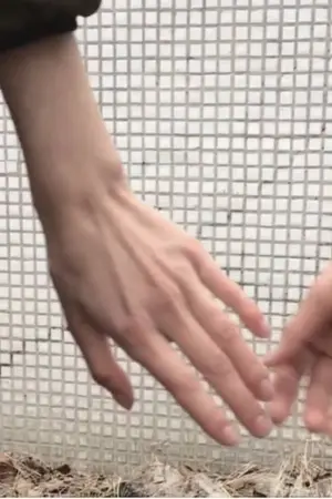 ปกนิยาย You say love without saying it