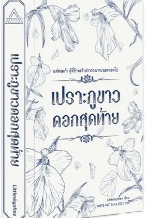 ปกนิยาย