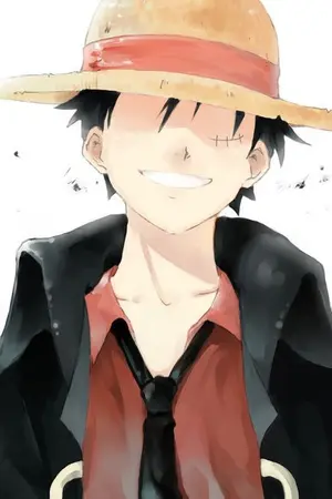 ปกนิยาย One piece [yaoi]