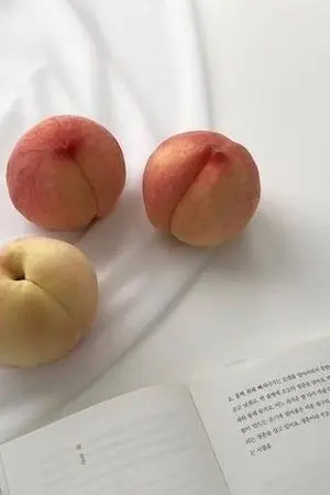 ปกนิยาย กลิ่นพีช | vmin