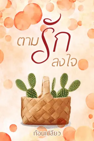 ปกนิยาย