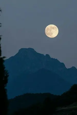 ปกนิยาย The moon [markbam] mpreg