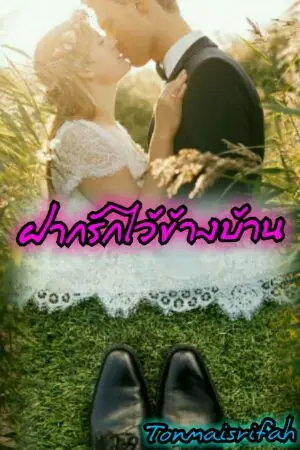 ปกนิยาย