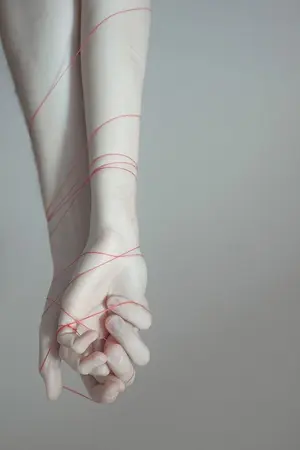 ปกนิยาย (ROV Nakroth x Butterfly ft.Tulen) Childhood crush