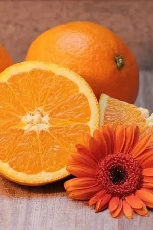 ปกนิยาย (Fic Tensei Shitara Slime Datta Ken) เจ้าสไลม์น้อยสีส้ม