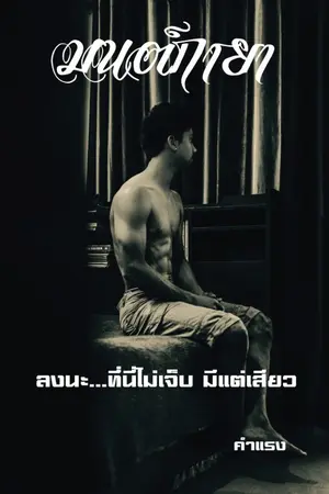 ปกนิยาย