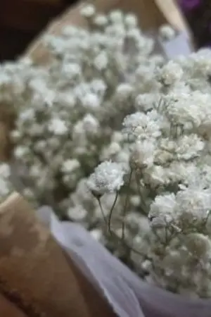 ปกนิยาย ธรรศตะวัน