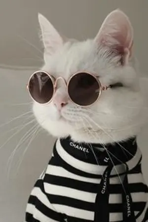 ปกนิยาย ระยะหลงรัก