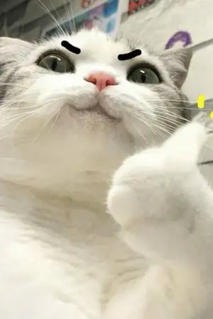 ปกนิยาย I am your .