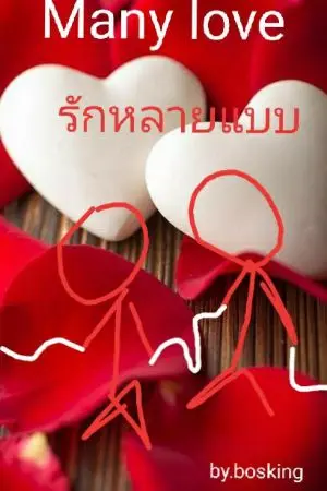 ปกนิยาย Many love รักหลายแบบ