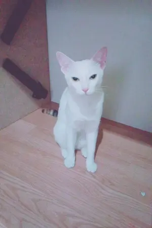 ปกนิยาย น้ำเย็นสาวขี้เหวี่ยง