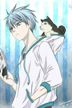 ปกนิยาย [Fic boku no hero academia/Kuroko no basket] เกิดใหม่เป็นคุโรโกะในโลกฮีโร่(สถานะ:ตัน)