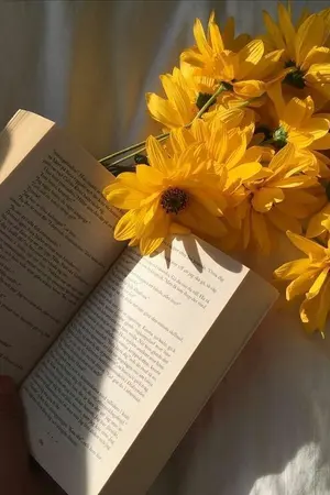 ปกนิยาย sunshine sky and your smile