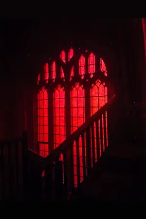 ปกนิยาย W I N G S