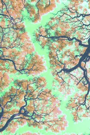 ปกนิยาย นักฆ่าทะลุมิติมายุค70